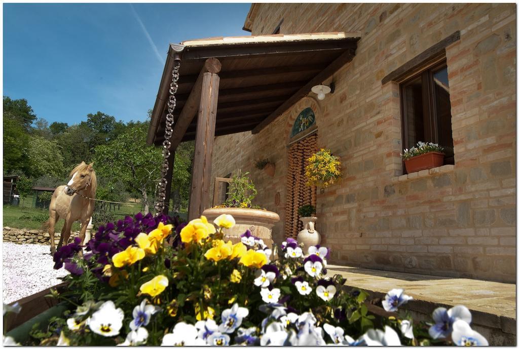Il Casale Di Aurora Country House Colmurano Zewnętrze zdjęcie