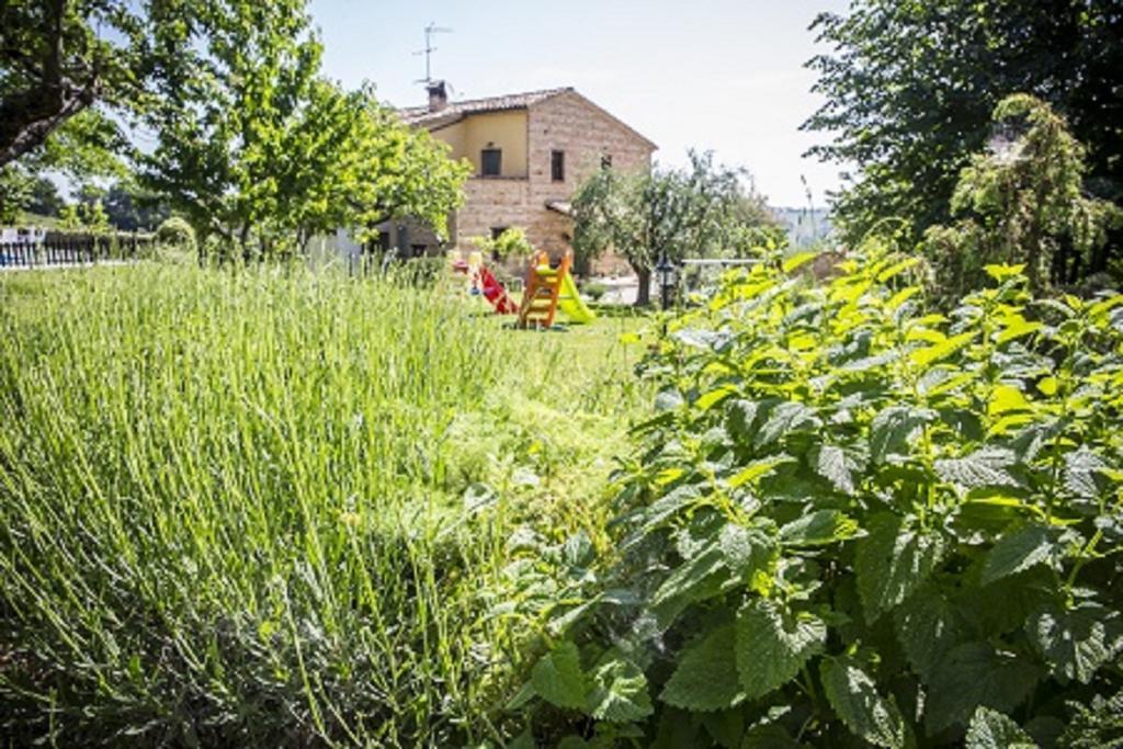 Il Casale Di Aurora Country House Colmurano Zewnętrze zdjęcie
