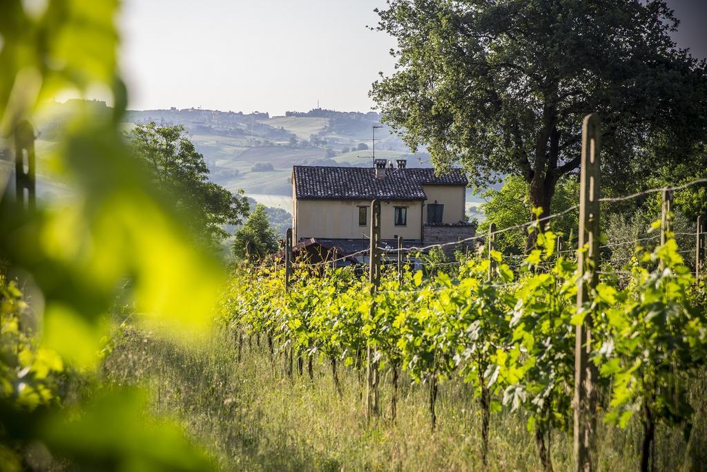 Il Casale Di Aurora Country House Colmurano Zewnętrze zdjęcie